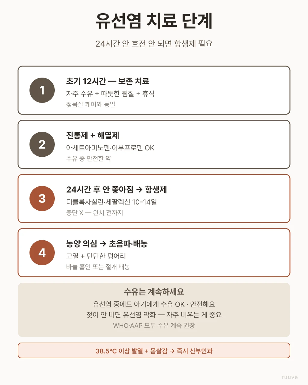 수유는 유선염 중에도 계속하세요. 비우는 게 회복의 핵심이고, WHO·AAP 모두 수유 지속을 권장해요. 유선염 치료 4단계 — 초기 보존치료(찜질·수유·휴식), 진통제·해열제, 24시간 후 항생제, 농양 시 배농술