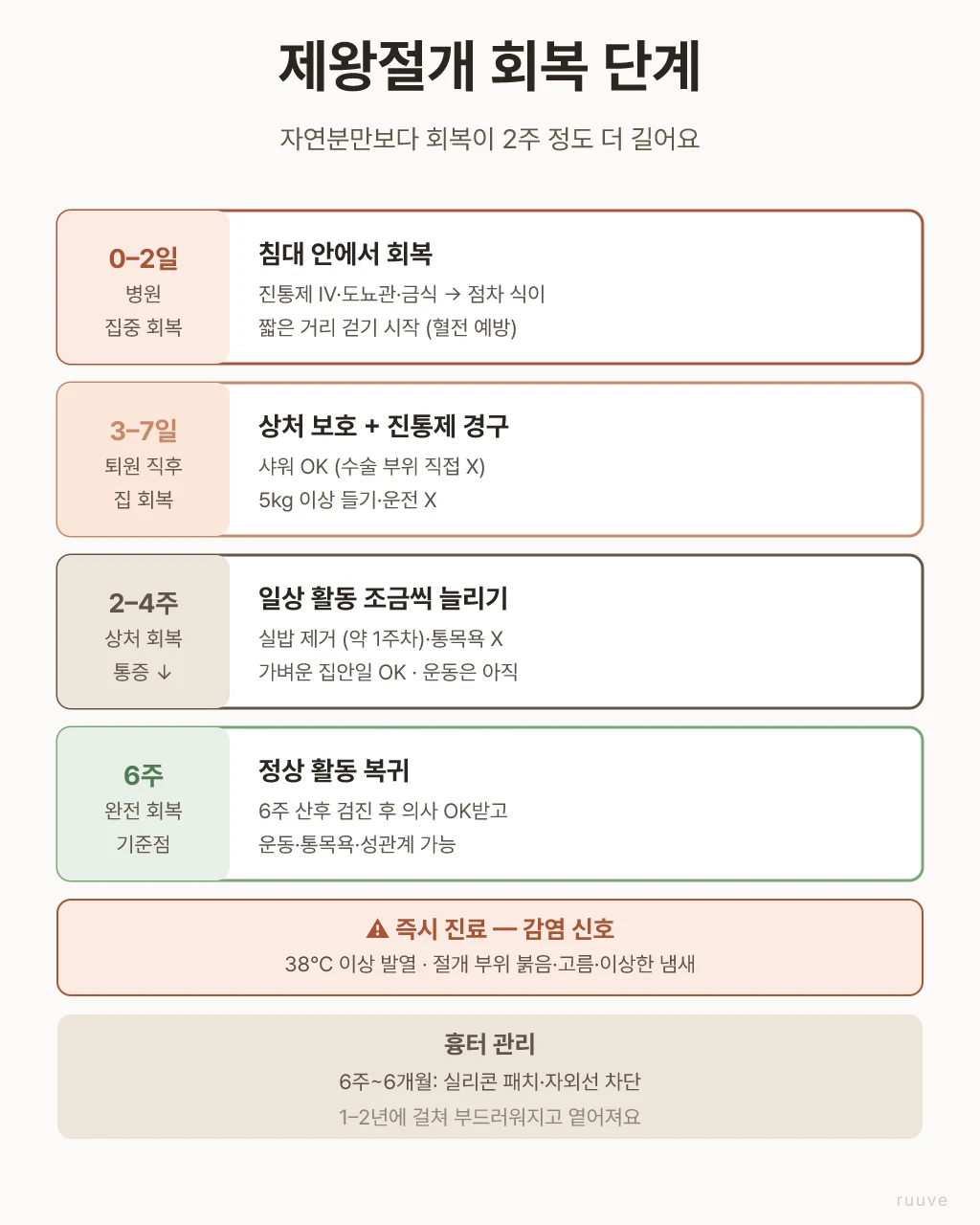 자연 채광 속에 일상적인 순간을 담았어요. 평범한 가정의 일상