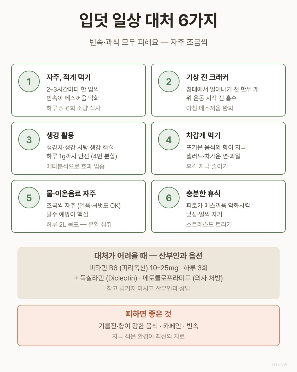 빈속과 과식 모두 피하고 자주 조금씩 먹는 게 핵심이에요. 생강은 메타분석으로 효과 입증된 자연 옵션이고, 비타민 B6는 산부인과에서 가장 먼저 처방하는 약이에요. 임신 입덧 일상 대처 6가지 — 자주 적게 먹기, 기상 전 크래커, 생강 활용, 차갑게 먹기, 수분 자주, 충분한 휴식. 비타민 B6 약물 옵션