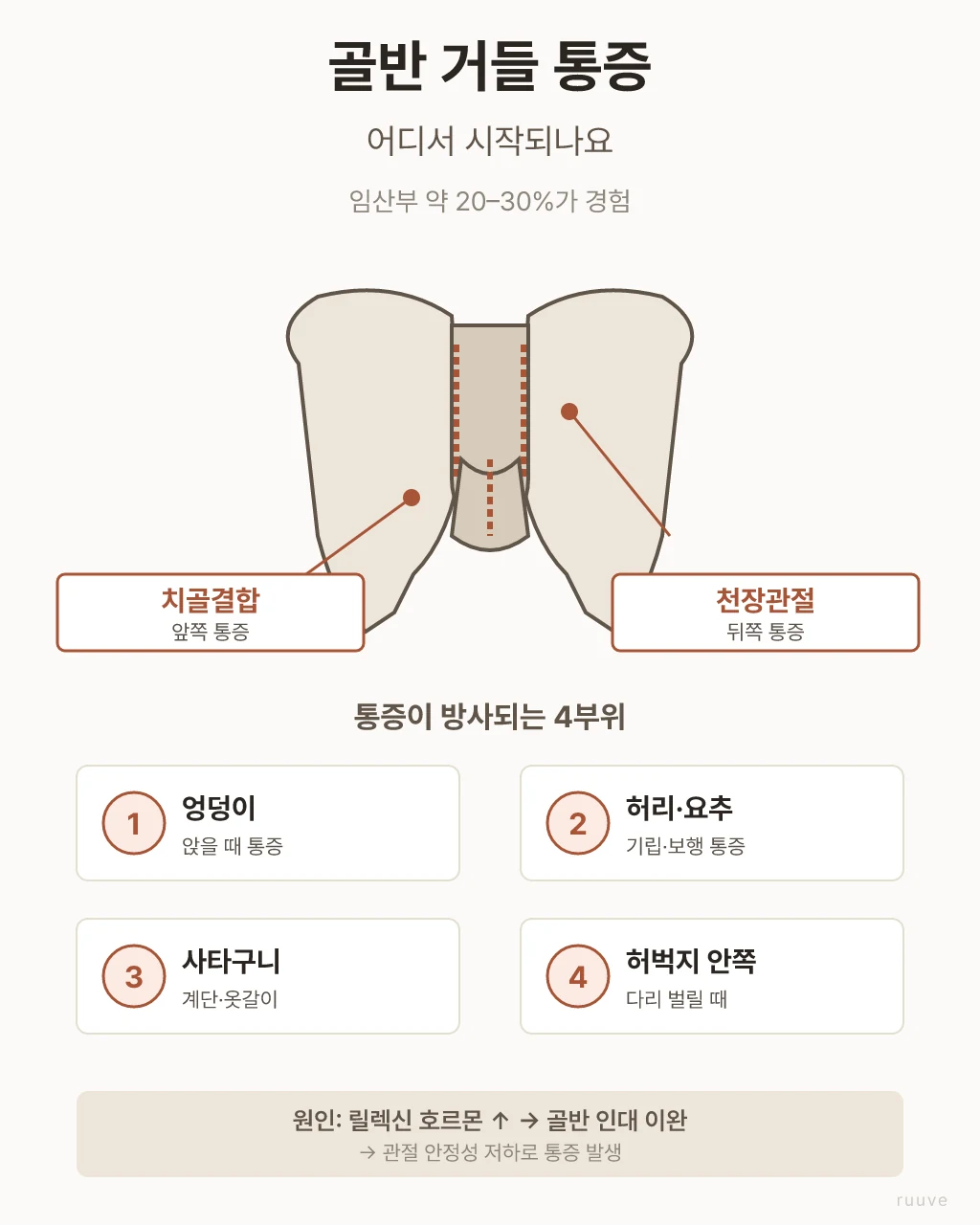한국 가정의 일상